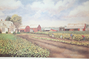 farm